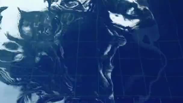 Piękny orzeźwiający niebieski basen wody — Wideo stockowe