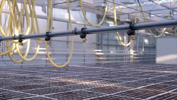 Impianto di irrigazione a effetto serra in azione. Sistema idroponico — Video Stock