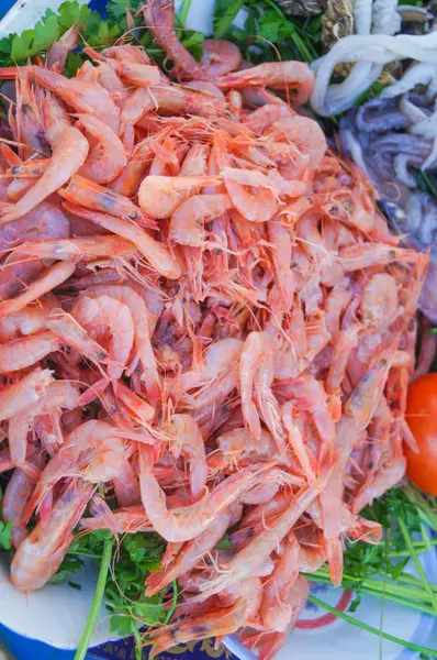 Langostinos frescos congelados en plato blanco . — Foto de Stock