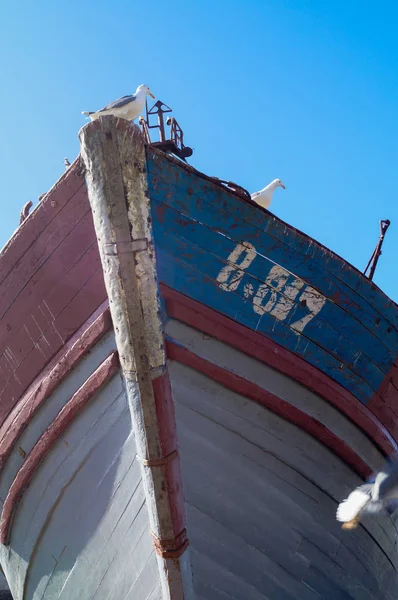 Mavi balıkçı tekneleri ve martı Essaouira limanda