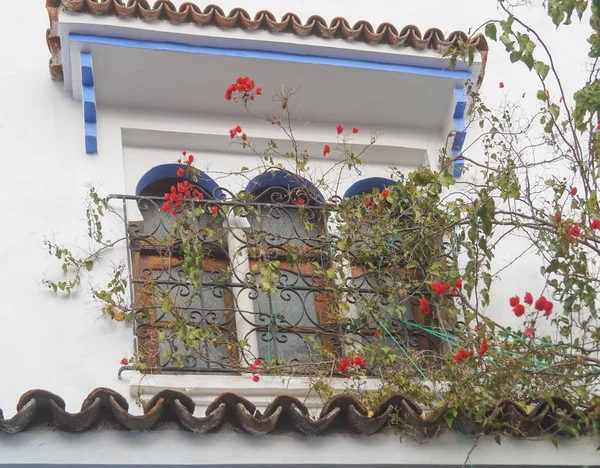Casa balcón en la ciudad azul - Chefchaouen, Marruecos — Foto de Stock