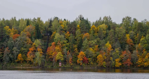 Sonbahar orman manzara nehir ile parkta — Stok fotoğraf