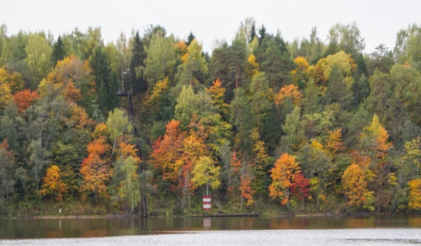 Podzimní krajina Les v parku s řekou — Stock fotografie