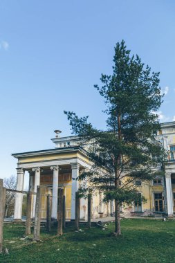 Yazın St. Petersburg 'un banliyölerine park et.