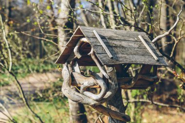 Parktaki ormanda bir yuva kutusu.