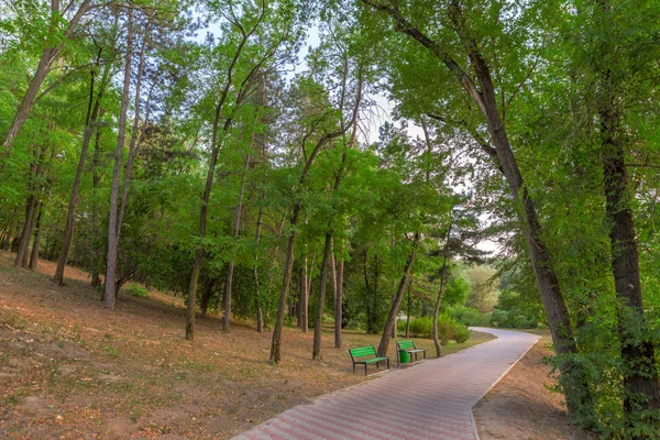 Μολδαβία Κισινάου Φθινοπωρινό Πάρκο — Φωτογραφία Αρχείου