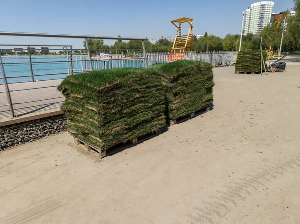 Doğal çimenler ekime hazır.