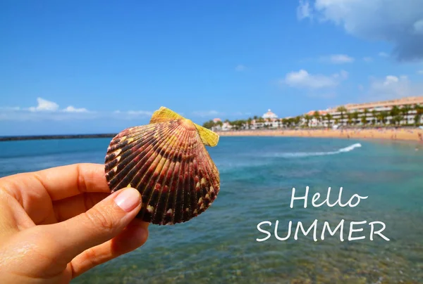 Hello Summer greeting card with hand holding sea shell on tropicalocean beach background.Summer  vacation,relax or travel concept.
