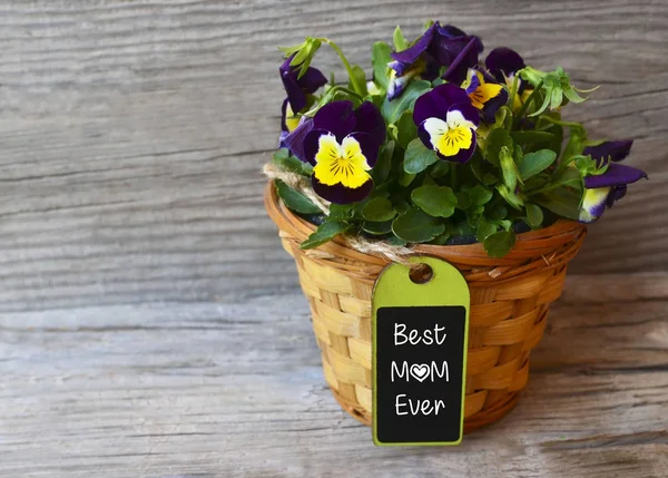 Best Mom Ever.Mother\'s Day greeting card concept with beautiful violet pansy flowers in a basket on old wooden table.Blooming pansies with space for text.Selective focus.
