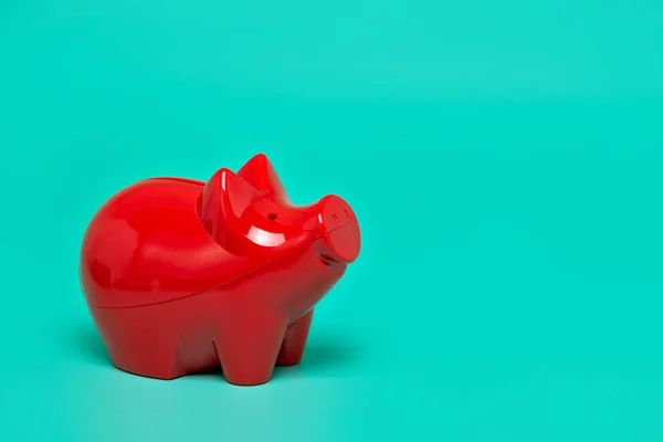 Red piggy bank, with bright green background