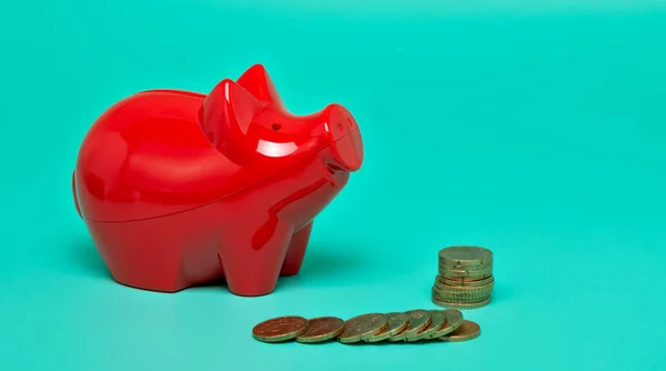 Red piggy bank, with bright green background