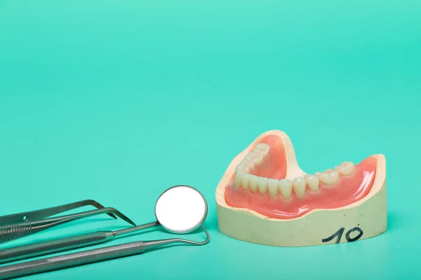 Modello Protesi Dentarie Con Strumenti Medici Sfondo Verde Brillante — Foto Stock