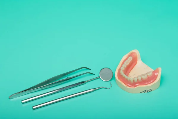 Modelo Próteses Dentárias Com Instrumentos Médicos Fundo Verde Brilhante — Fotografia de Stock