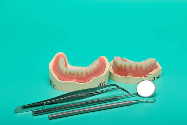 Dentures Model Medical Instruments Bright Green Background — Stock Photo, Image