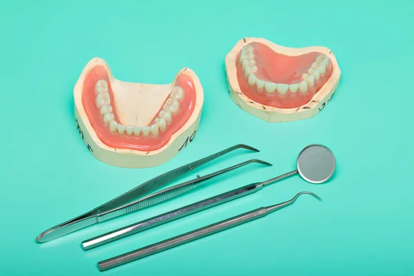 Modello Protesi Dentarie Con Strumenti Medici Sfondo Verde Brillante — Foto Stock