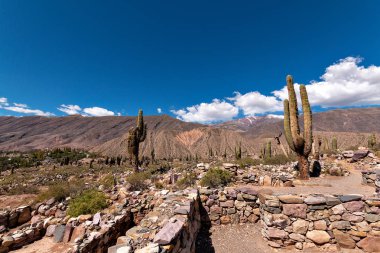 Card n en los andes de Tilcara, Arjantin