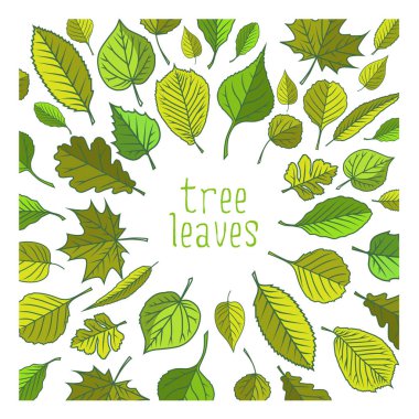 Ağaç yaprak. Renkli çizimler.