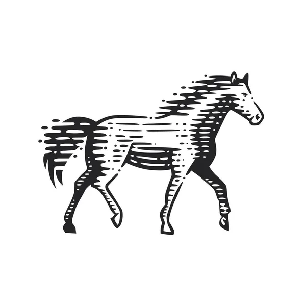 Illustratie van het hardloop paard. — Stockvector