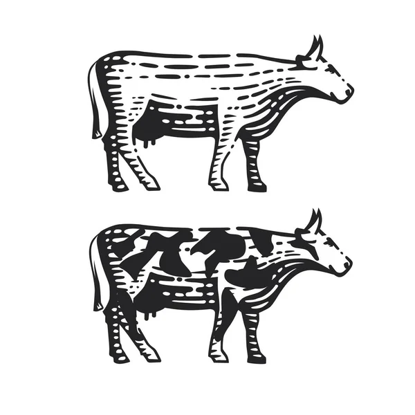 Ilustração da vaca . —  Vetores de Stock