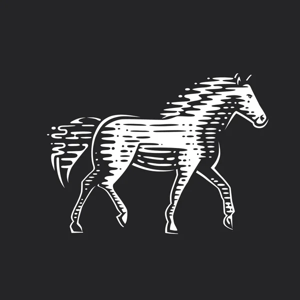 Illustratie van het hardloop paard. — Stockvector