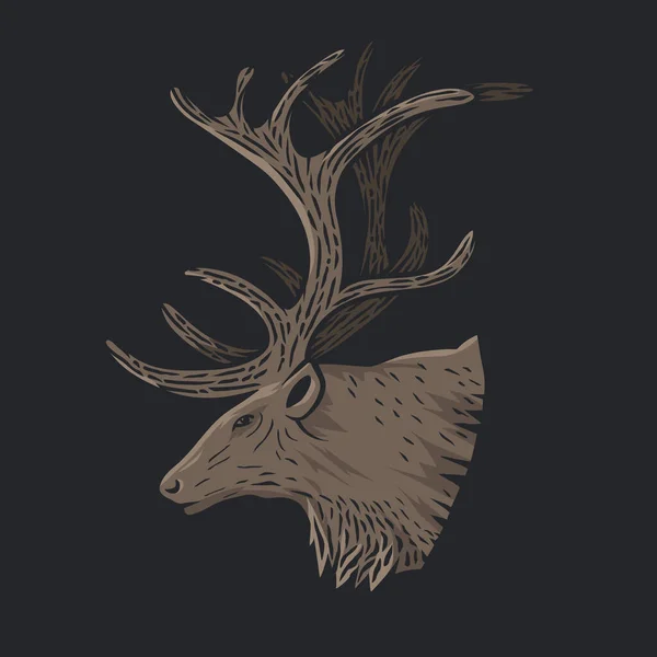 Illustration de beaux cerfs . — Image vectorielle