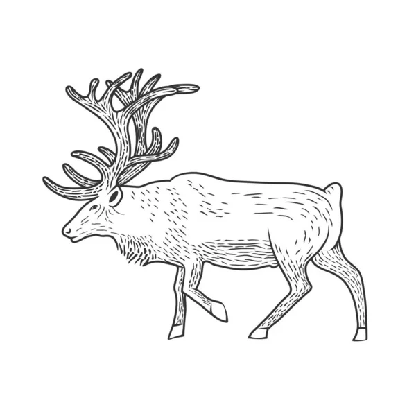 Illustration of beautiful deer. — Stock Vector
