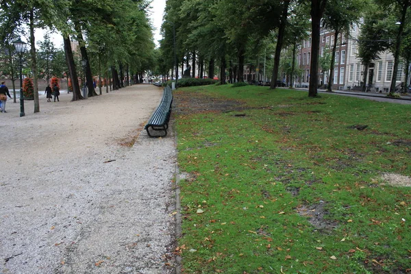 Park Der Haager Stadt Neben Dem Binnenhof — Stockfoto