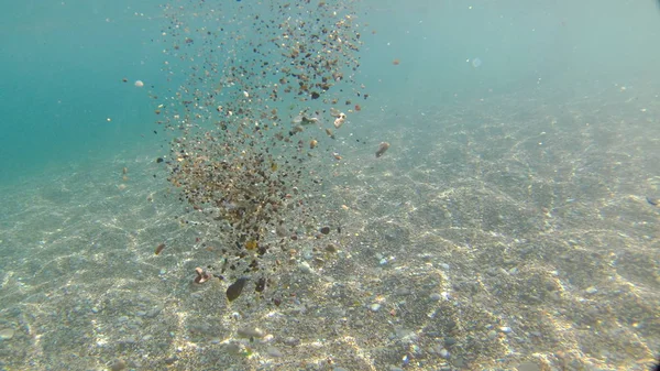 Doğal Güneş Işınları Sualtı Taşlarla — Stok fotoğraf