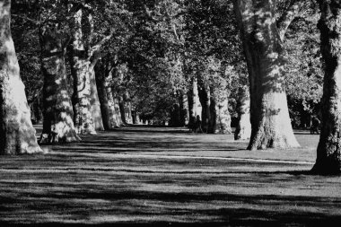 Hyde Park Londra, İngiltere,