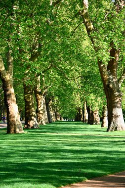 Hyde Park Londra, İngiltere,