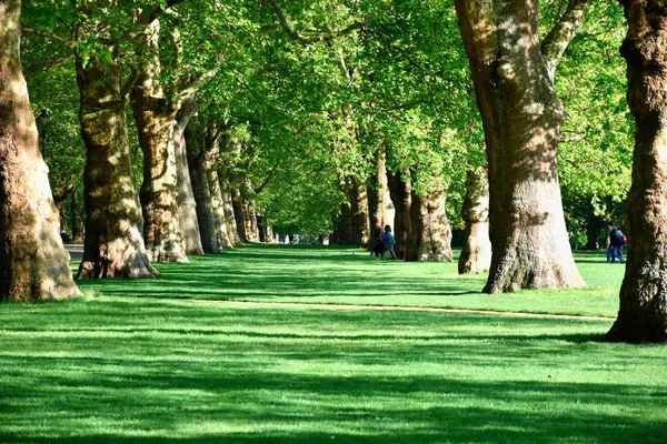 Hyde Park a Londra, Regno Unito , — Foto Stock