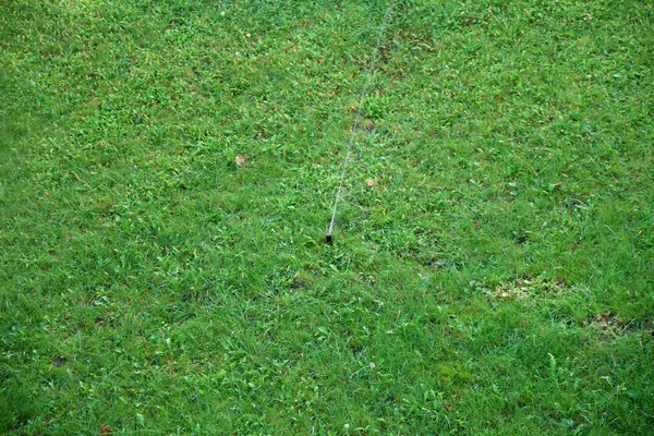 Sprinkler sprutning färskt vått vatten på frodig grön gård gräsmatta gräs — Stockfoto