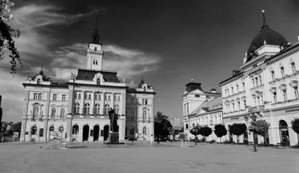 Novi Sad Sérvia Agosto 2020 Novi Centro Cidade Triste Segunda — Fotografia de Stock