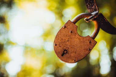 Vintage grunge doğa dışarıda metalik eski kilit