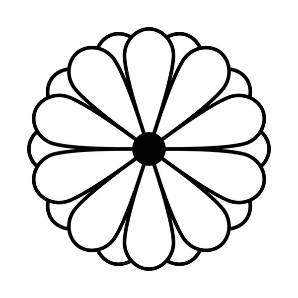 Japonés Kiku Crisantemo vector floral patrón sin costura. Vector — Archivo Imágenes Vectoriales