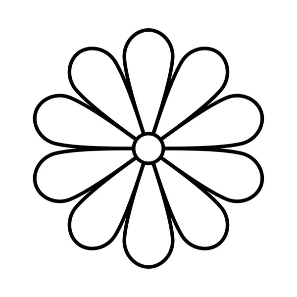 Japonês Kiku crisântemo floral padrão sem costura vetor. Vetor —  Vetores de Stock