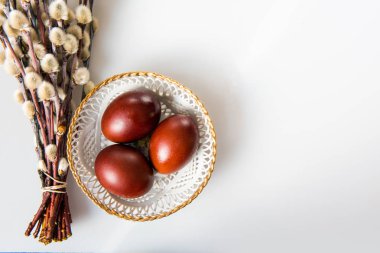Kahverengi yumurta ve willow beyaz zemin üzerine boyalı Paskalya