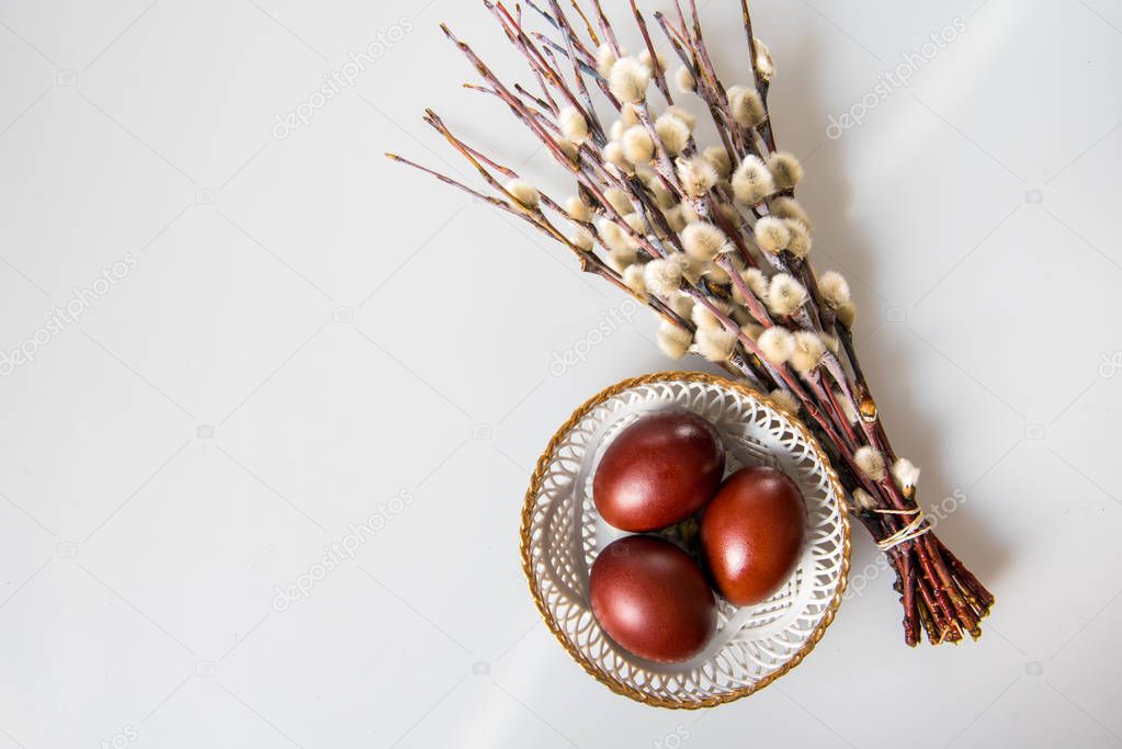 Easter painted brown eggs and willow on a white background