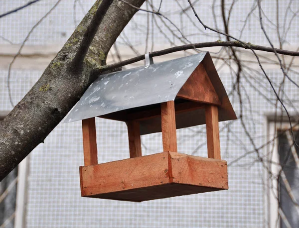 枝の上に木の鳥の餌をやる — ストック写真