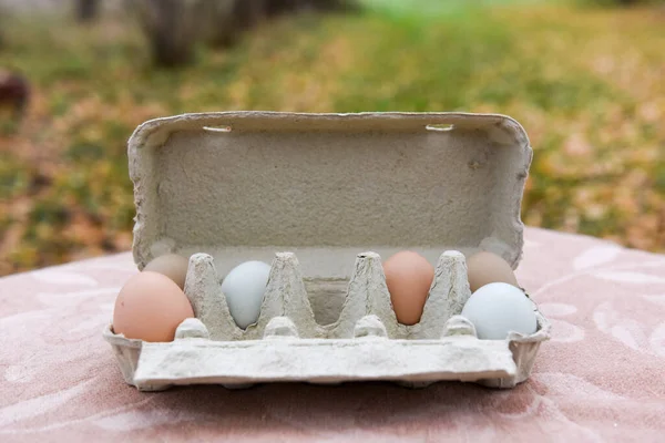 Яйцо коробки на Пасху для дизайна — стоковое фото