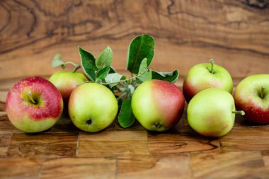 Hamburg 'un yanındaki Eski Topraklarda Elma Hasadı Zamanı