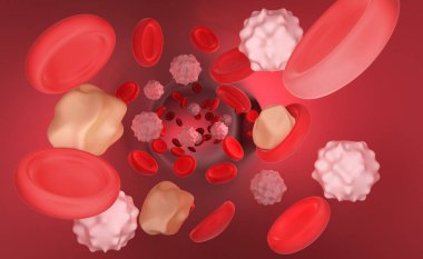 Kırmızı kan hücreleri eritrositler iç atardamar veya kılcal kan damarı gösteren endotel hücreleri ve kan akışı veya insan anatomisi modeli 3 boyutlu görselleştirme akarsu