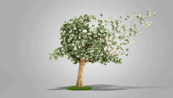 Dollarbaum Mit Hundert Dollar Scheinen Auf Grauer Abbildung — Stockfoto
