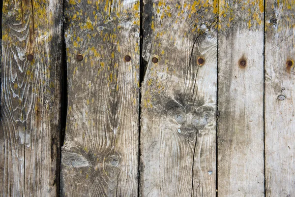 Старий зів'ялий фон дерев'яної дошки - натуральне дерево — стокове фото