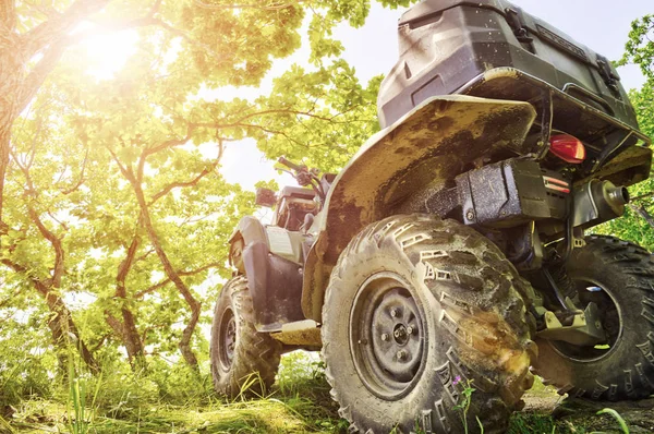 Πίσω όψη του Quad Bike βαθιά στο δασικό δρόμο. Φωτογραφία Αρχείου