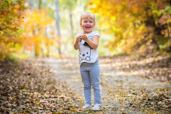 Lyckligt litet barn, liten flicka skrattar och leker på hösten på naturen promenad utomhus — Stockfoto