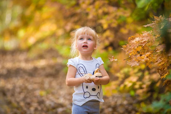 Lyckligt litet barn, liten flicka skrattar och leker på hösten på naturen promenad utomhus — Stockfoto