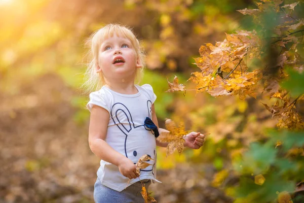 Lyckligt litet barn, liten flicka skrattar och leker på hösten på naturen promenad utomhus — Stockfoto