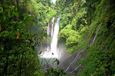 Aling Şelalesi, Endonezya, Bali 'nin Buleleng naipliğinde.