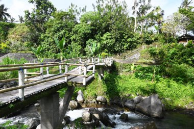 Köydeki doğa nehri, doğal bambu köprüsü.